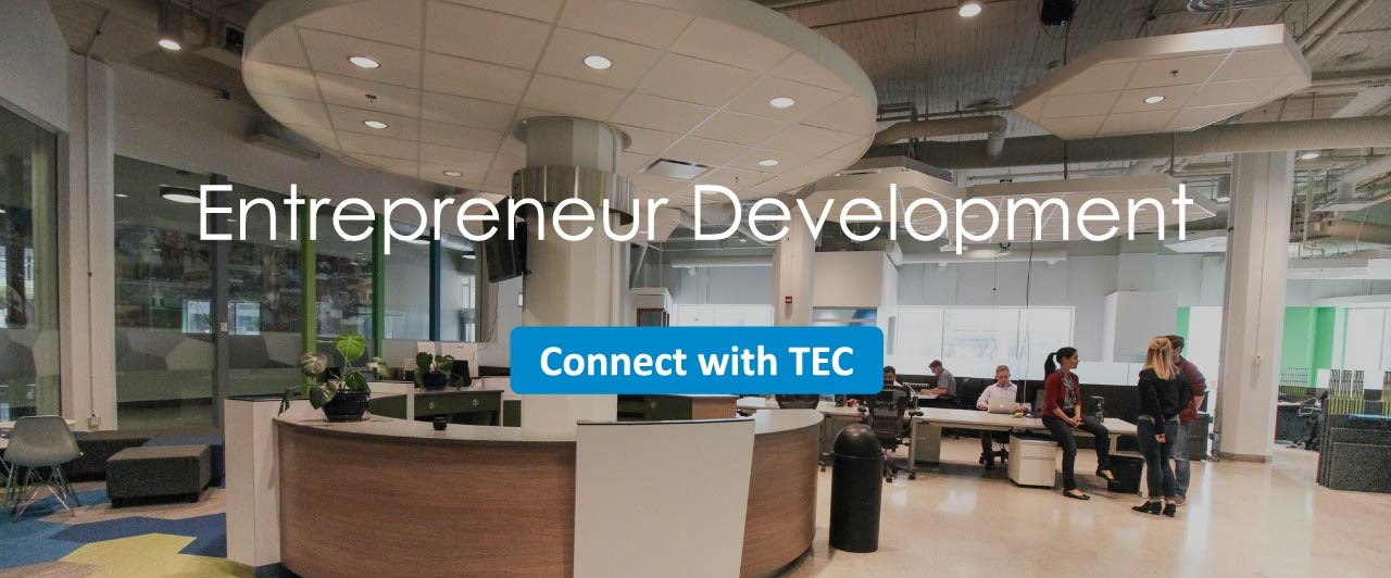  About Entrepreneur